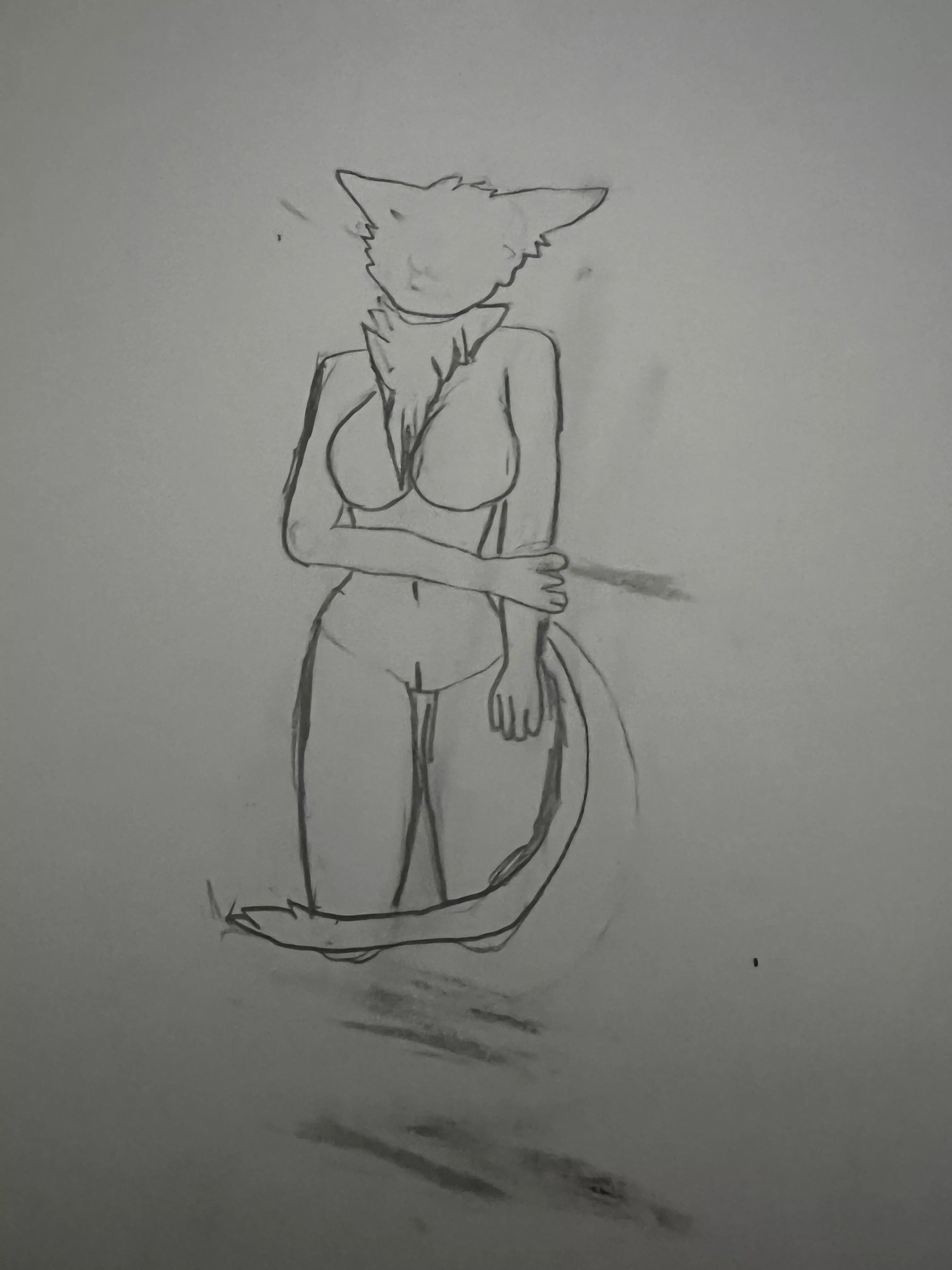 I tried to draw a furry but failed alot especially the tail and the face