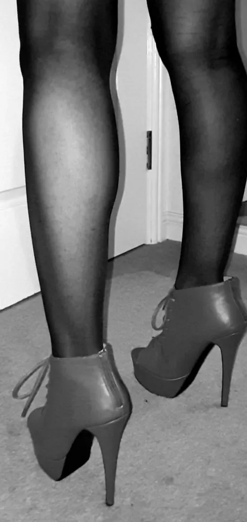 I'd walk all over you