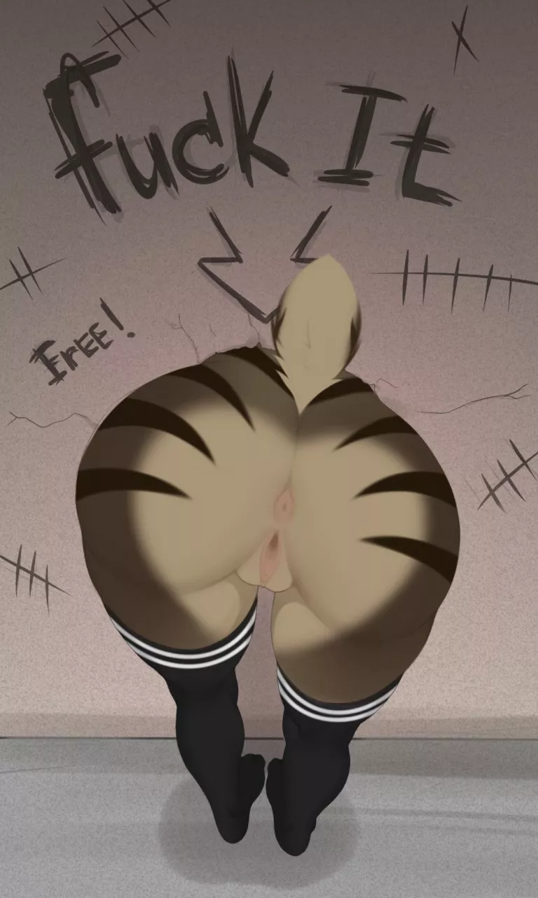 Kitty Cake [F] (Konashi)