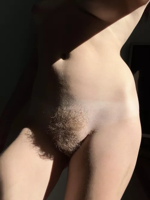 my bush is beautiful in the sun?