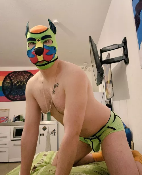 Neo is a good boy I swear