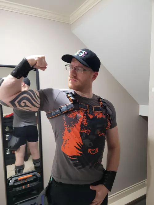 New Outfit! Does the shirt match the harness? 🐺😋