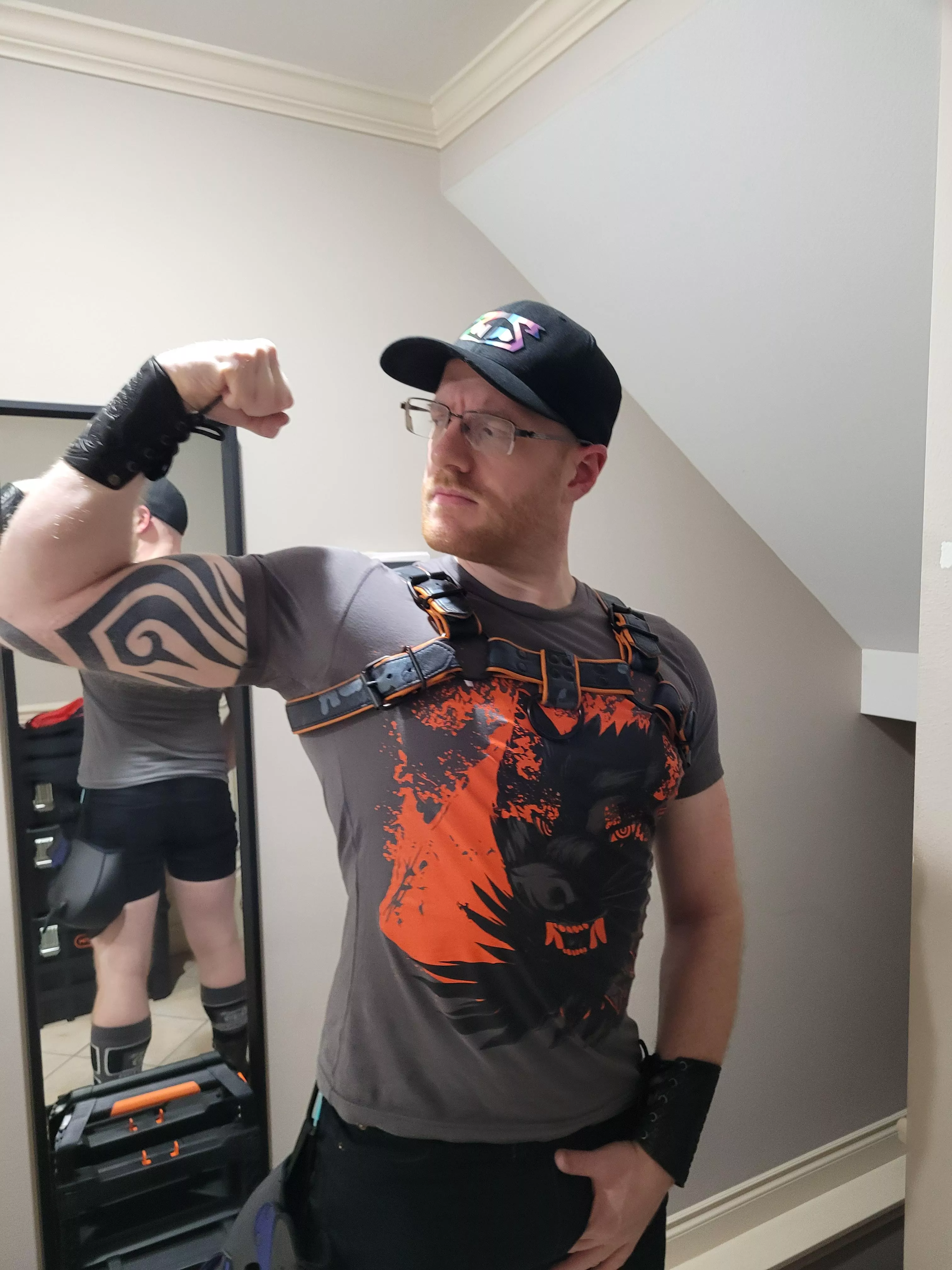 New Outfit! Does the shirt match the harness? 🐺😋