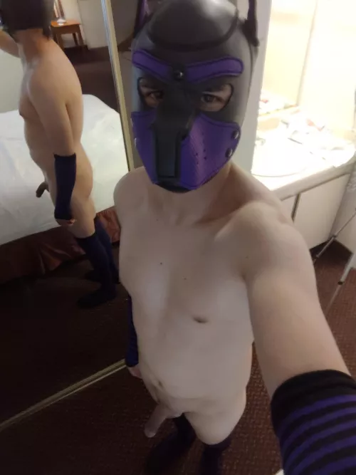 New pup from Socal 👋