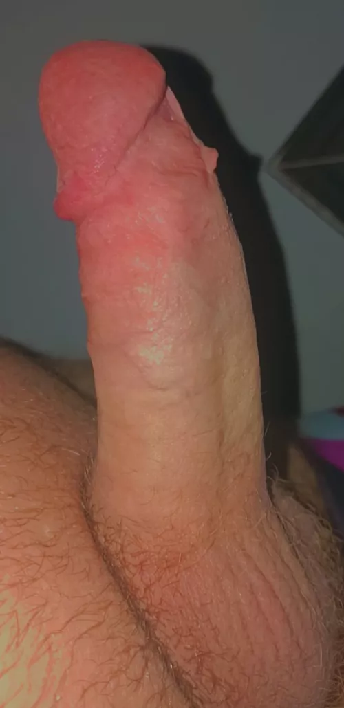 Rate him