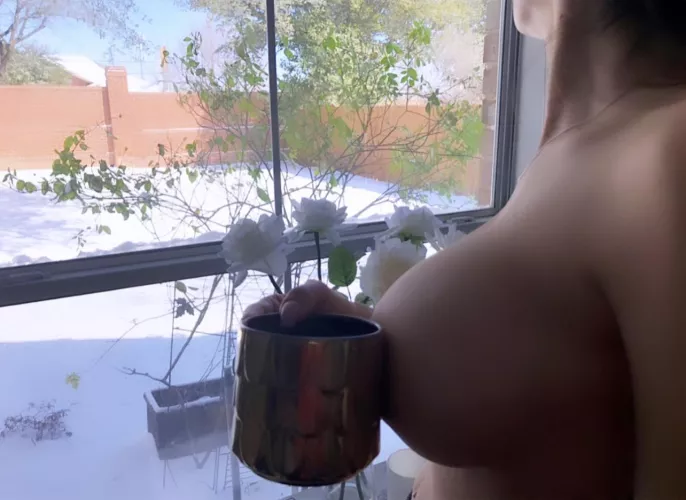 Snow Day!! ❄️❄️❄️