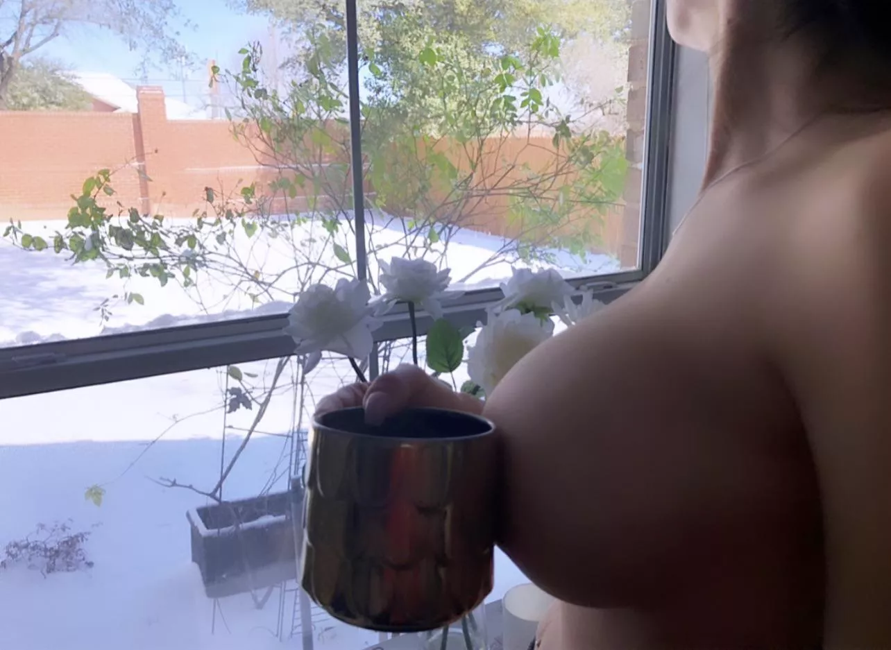 Snow Day!! ❄️❄️❄️