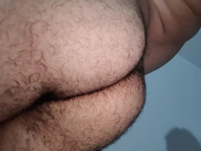 someone to take that hairy ass?