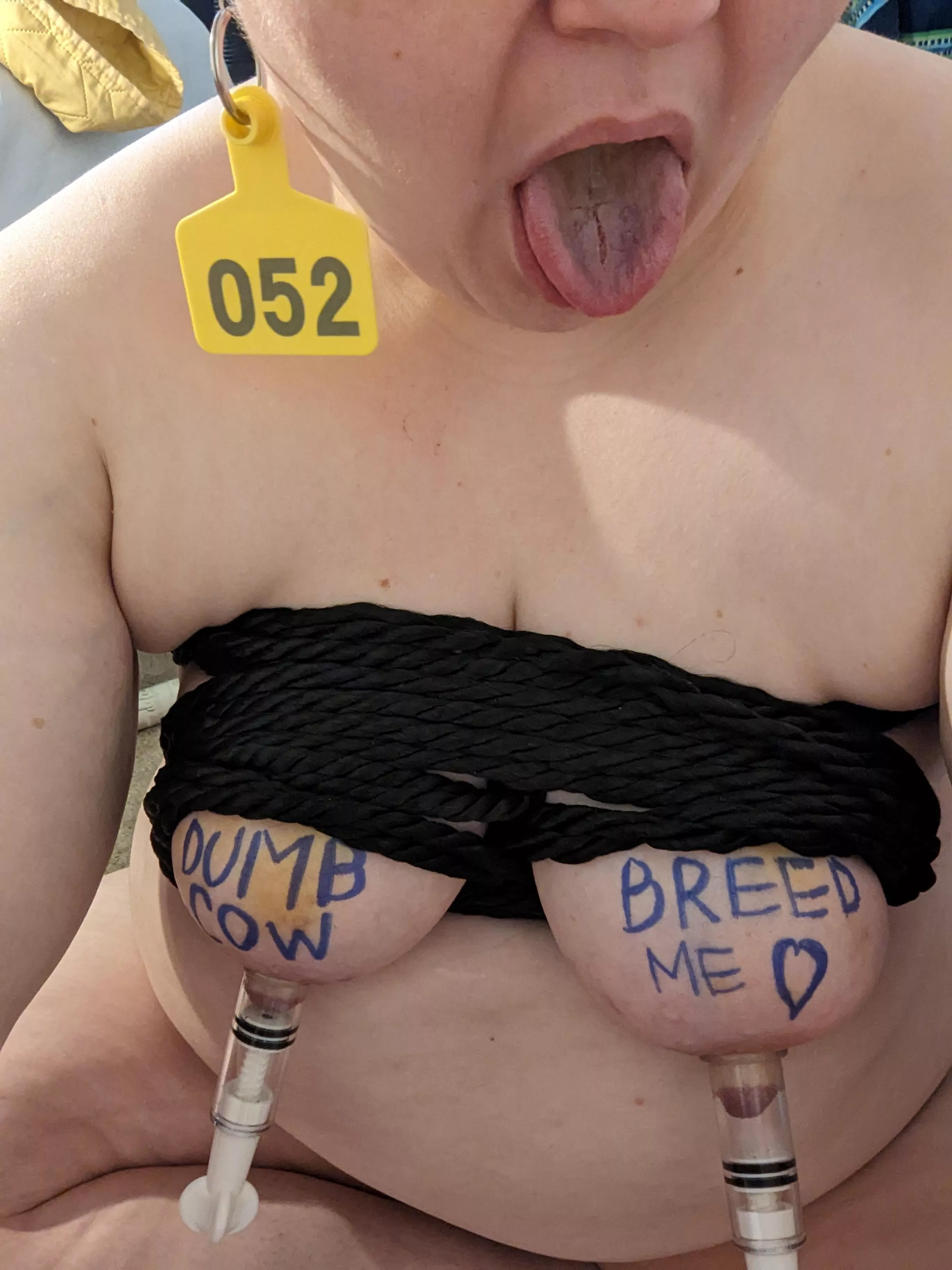 Tagged, Tied, and Displayed.