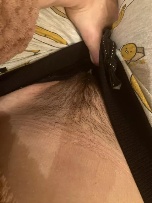 Ten days without shaving ehehe