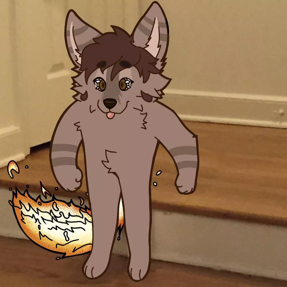 This is what peak body performance looks like .