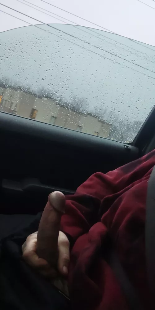 trying to stay warm this wet chilly day (33)