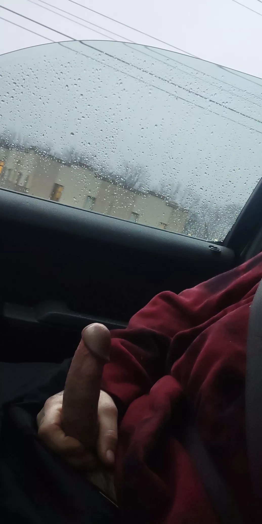 trying to stay warm this wet chilly day (33)