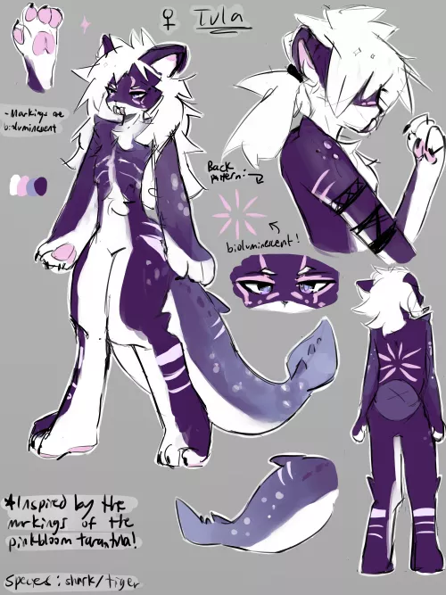 Tula, a tiger/shark oc I made inspired by the patterns of the Pinkbloom tarantula! :)