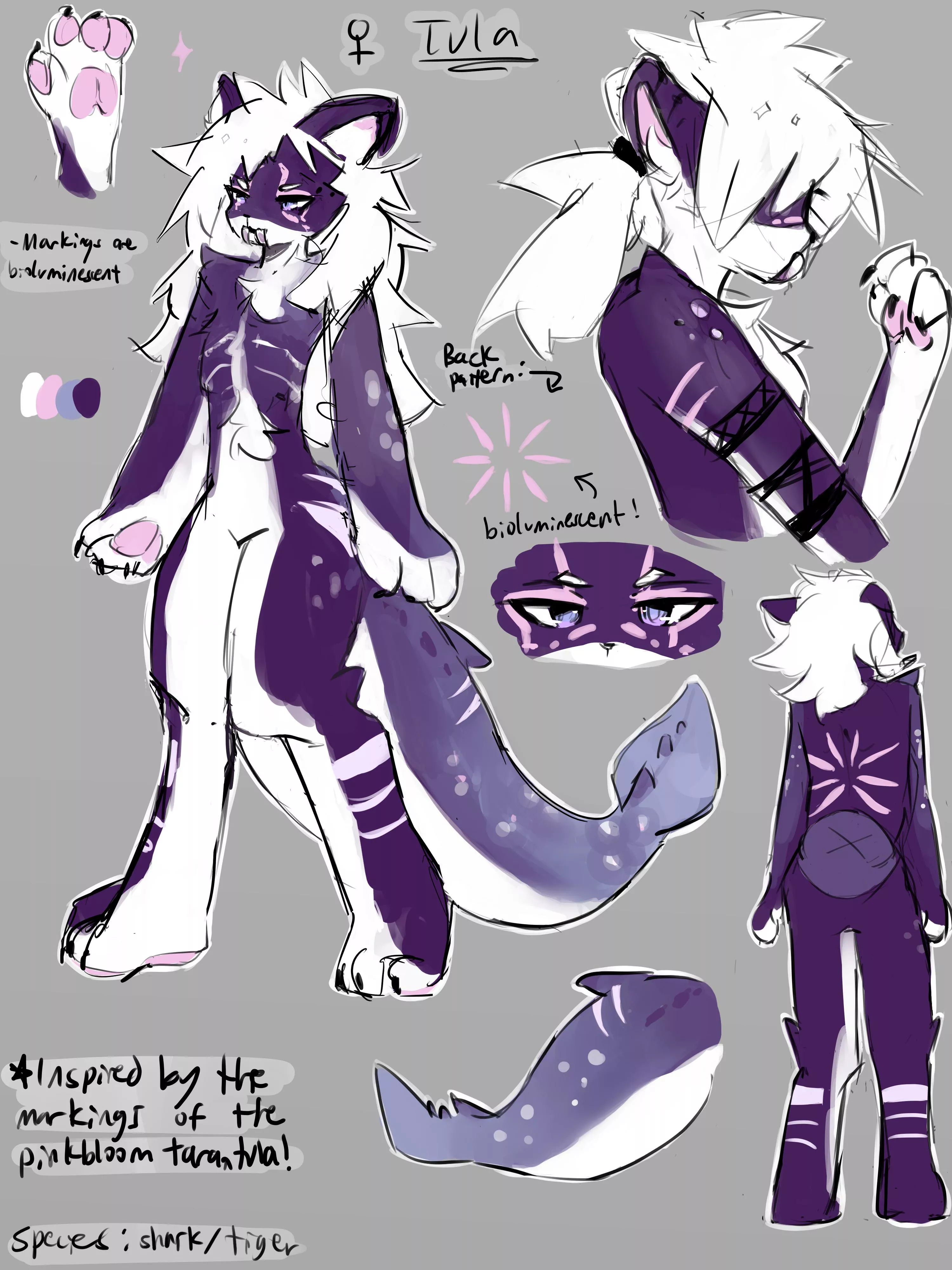 Tula, a tiger/shark oc I made inspired by the patterns of the Pinkbloom tarantula! :)