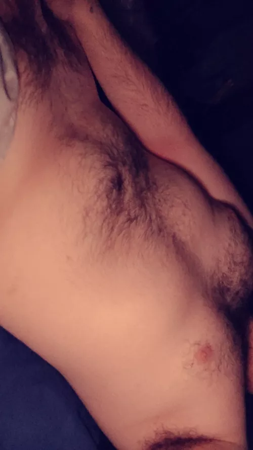 20m rugby player, verse bttm with toy, hairy average body, 7in uncut, trade with anyone 18 to 30, SC max_pe23, everyone welcome