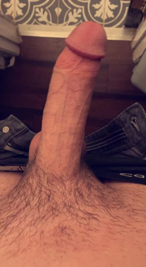 21m lmk if you stopped scrolling to stare at my cock 😝 hmu