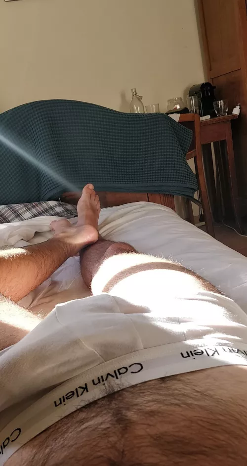 24 Italy 8inch fit hung hairy daddy here HMU boys