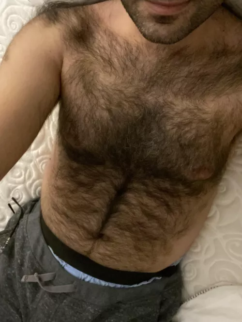 35 hairy Canadian otter looking to jerk with other hairy guys / Hmu for snap