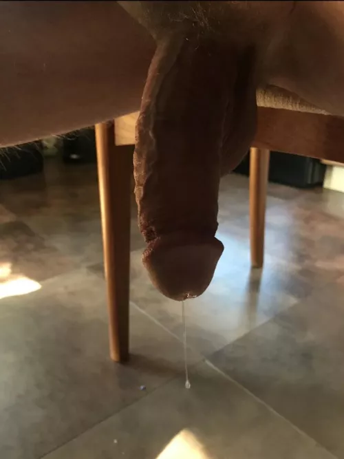 [42] Who wants to be breed this morning? Harden me up and hop on.