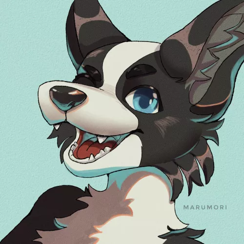 a recent commission! it's so fluffy! (art by me @marumoriart)