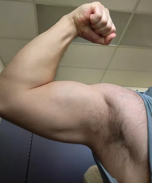 Another day in the office