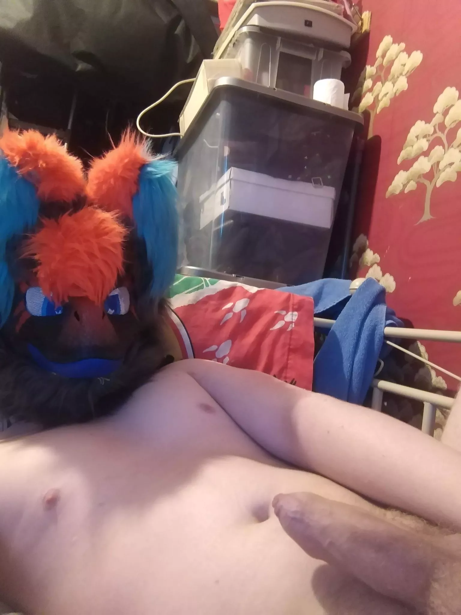 Anyone wanna cuddle? 😈