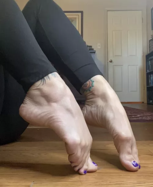 Arches for days