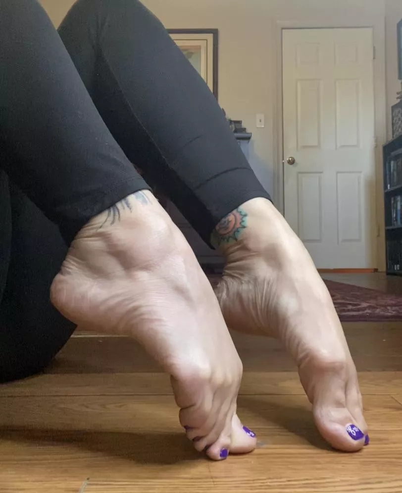 Arches for days