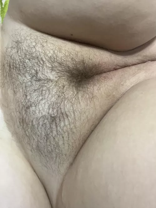 Been growing my bush out for 4 months now