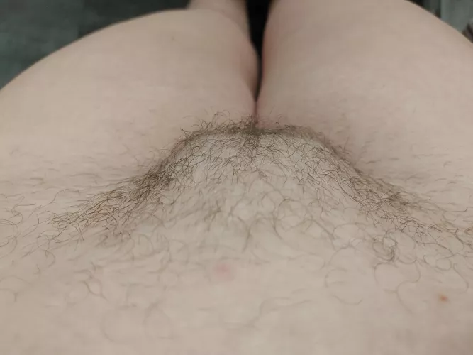 Bush is starting to come along nicely!