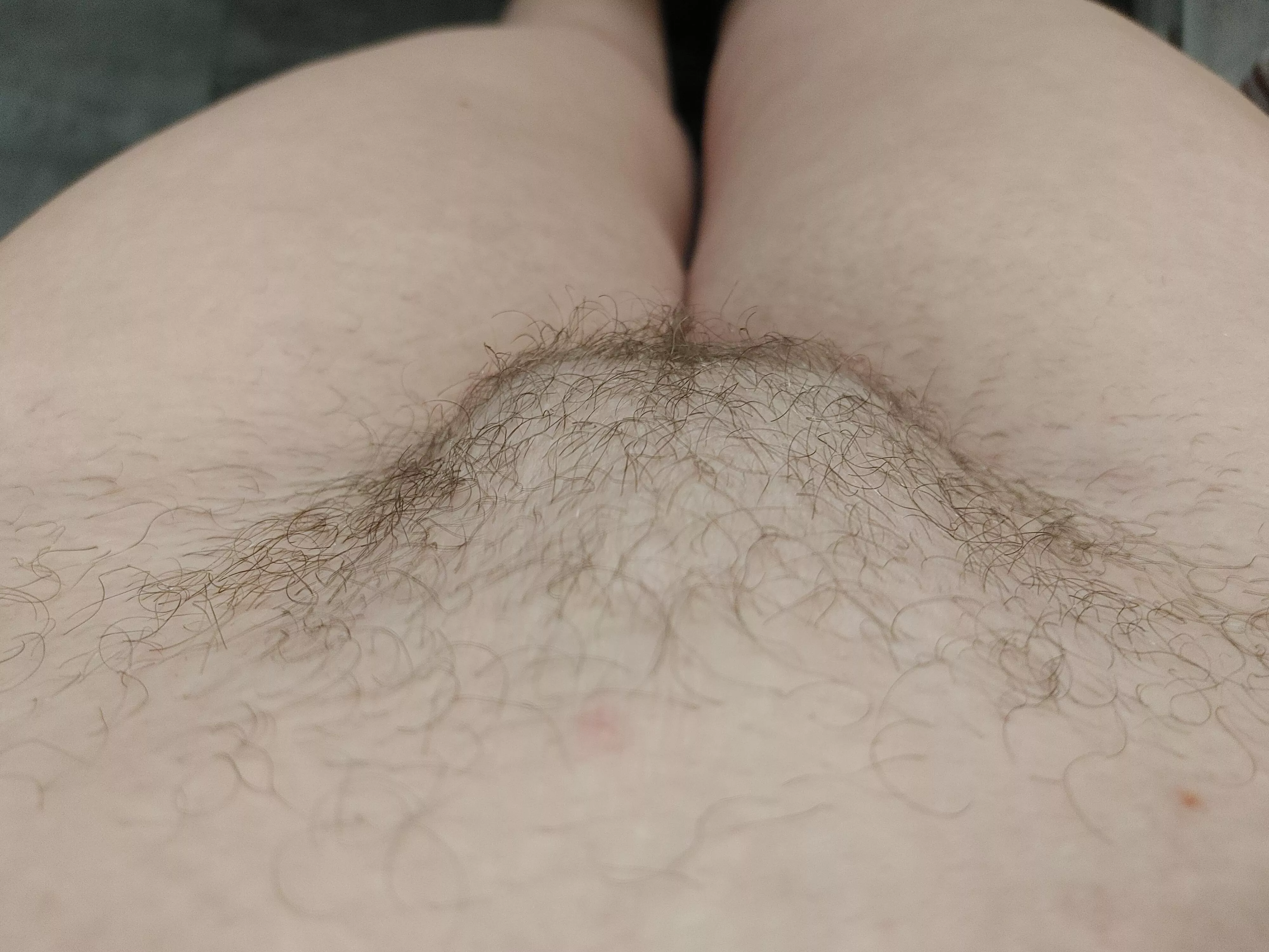 Bush is starting to come along nicely!