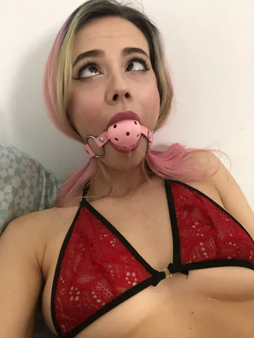 Can we have some fun?