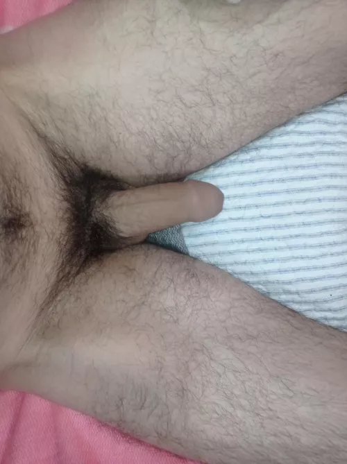 come to bed and suck my dick
