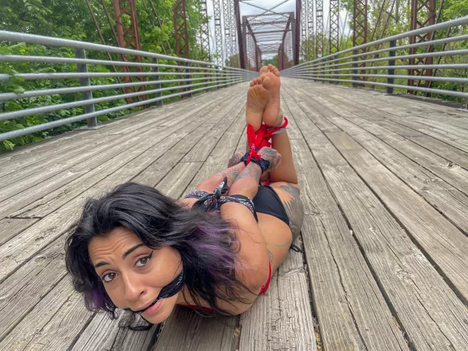 Do you like excursions?