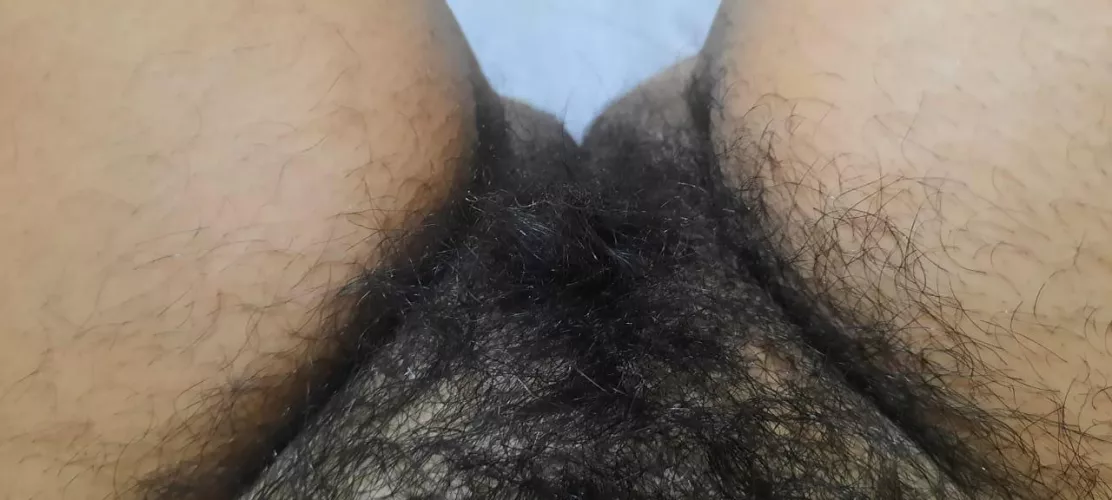 Do you like what you see? 🌳🔥