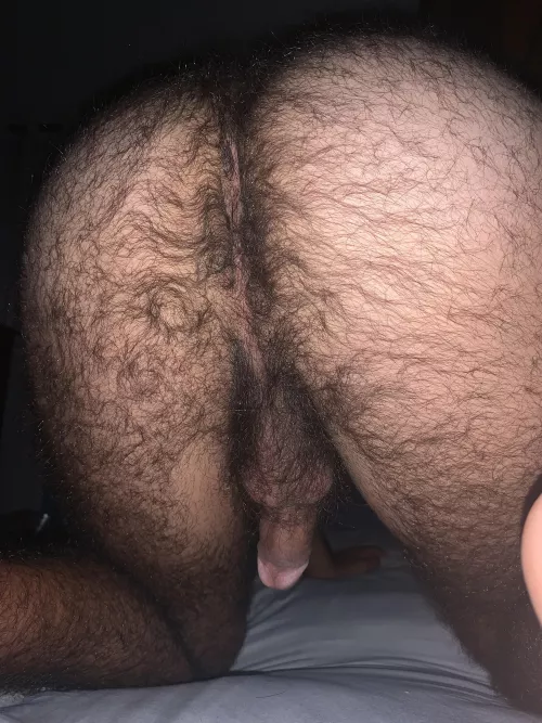 Hairy enough for this place?