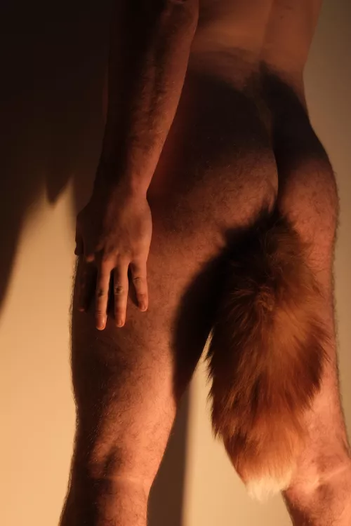 I think it needs a stroke...