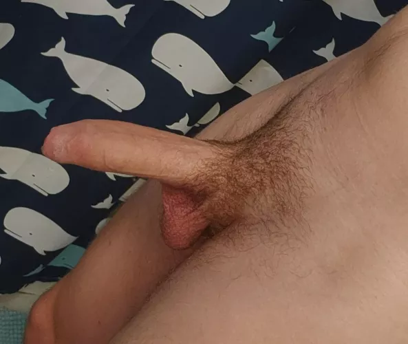 it's begging to be pulled back