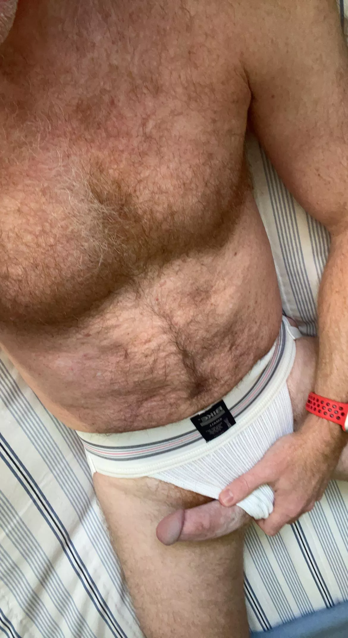 Jock slip [44]