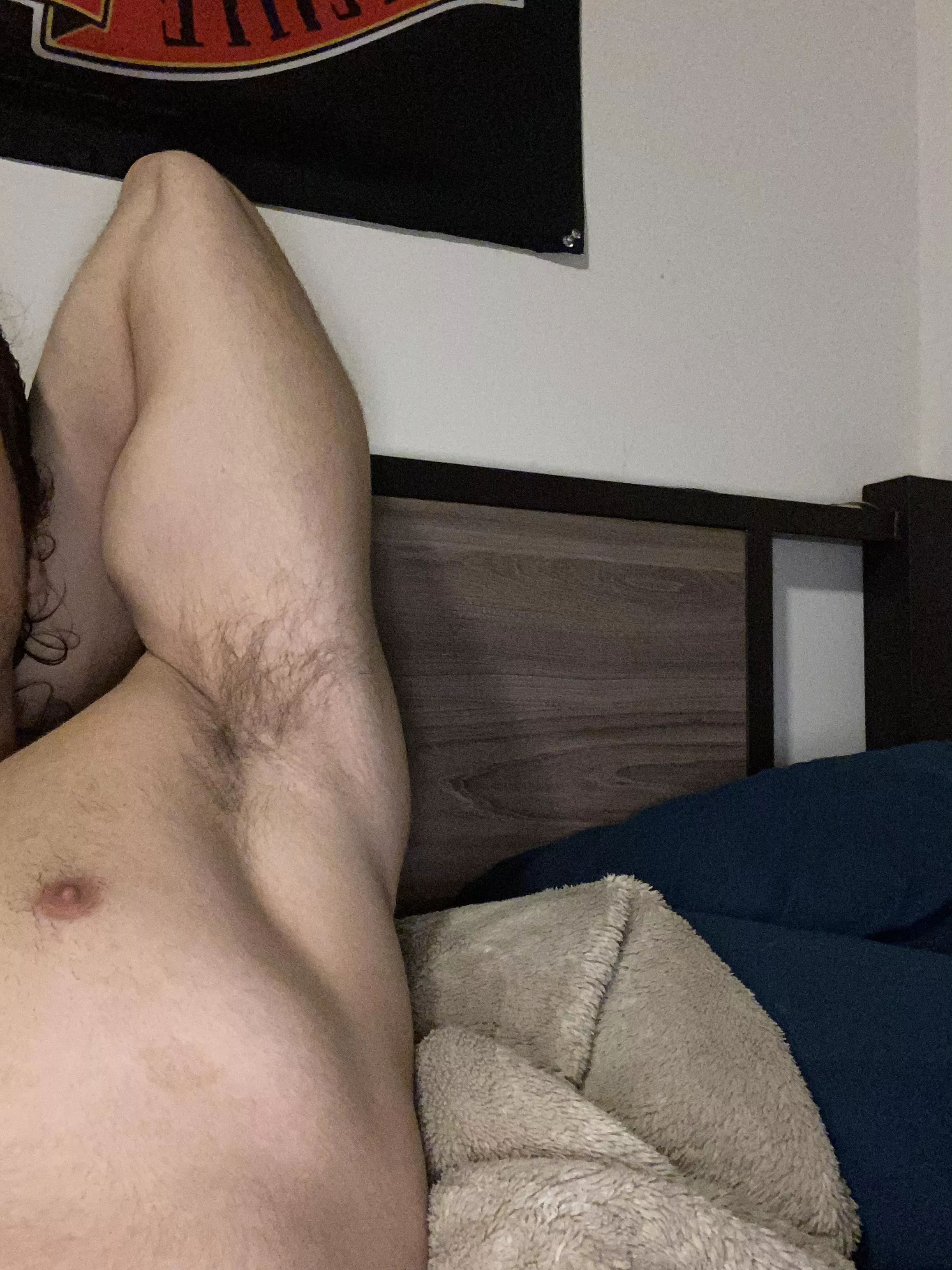 Just your average teenage bull