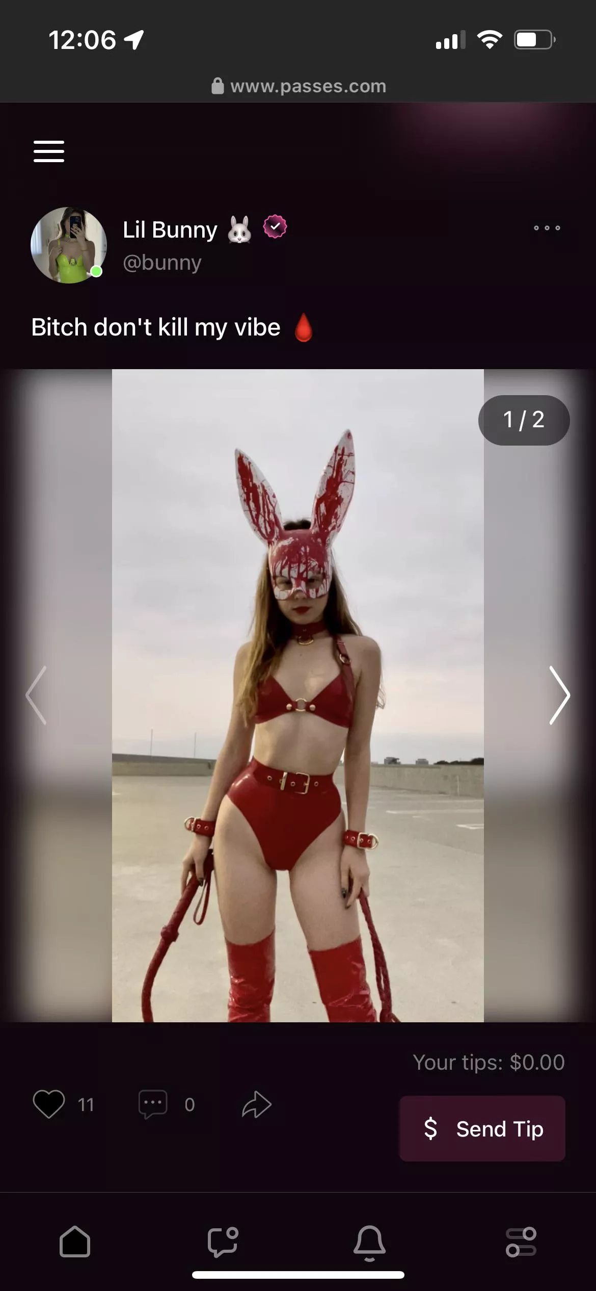 Lilbunny from her Passes