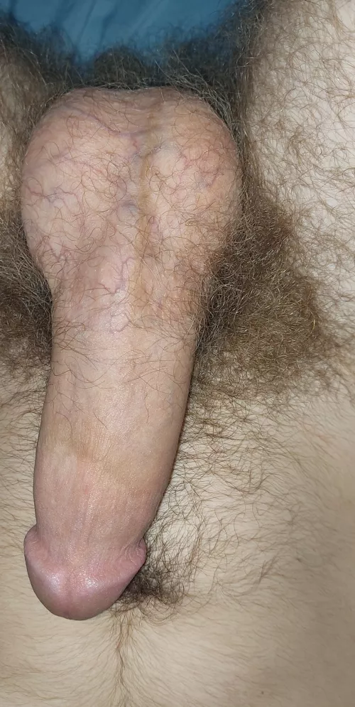 My balls are feeling pretty full tonight.