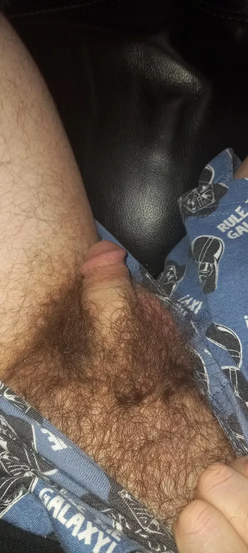 My bushy, softie. Enjoy!