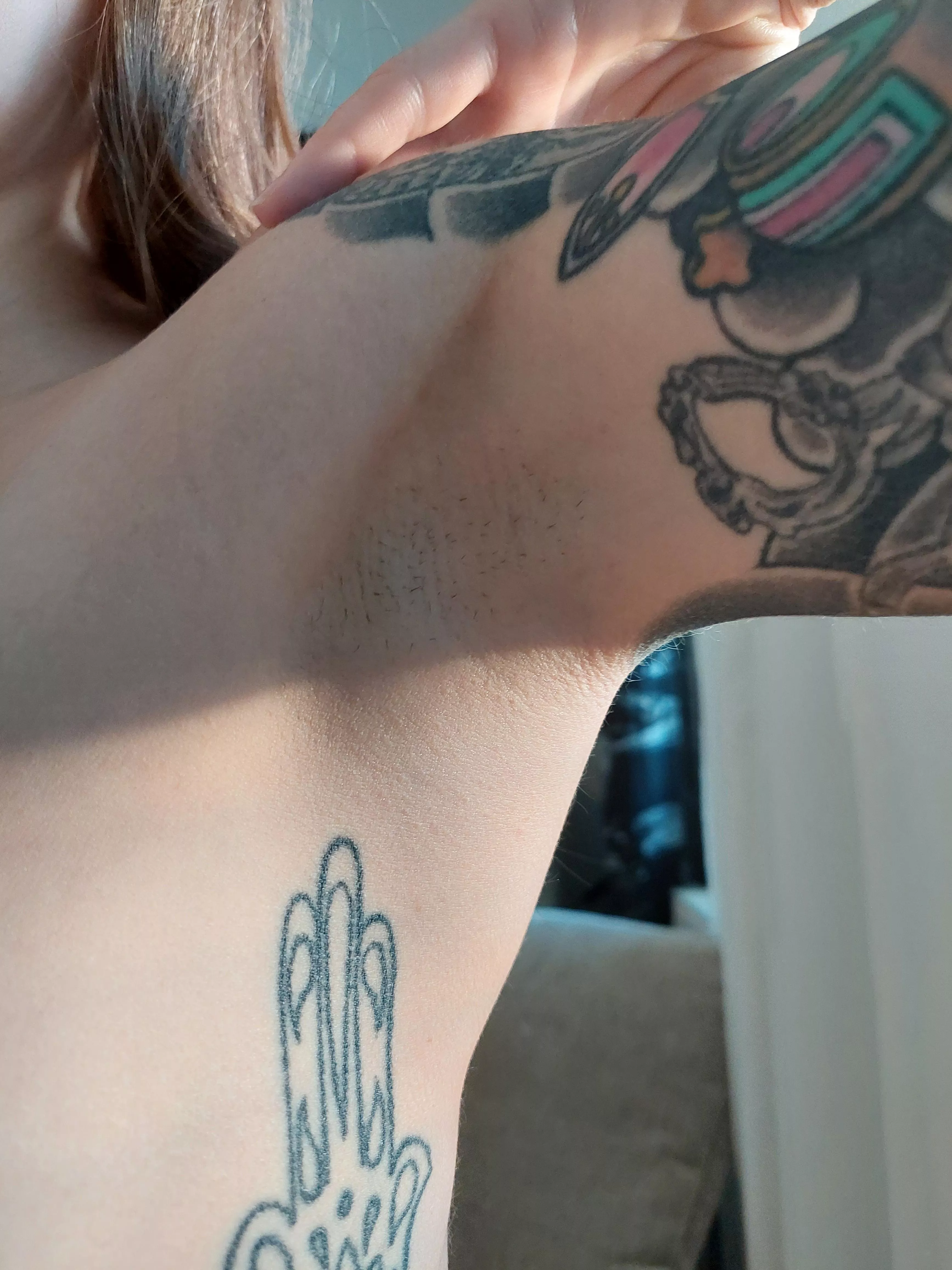 My pit catching sunlight