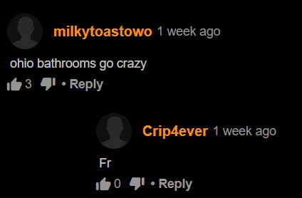 on a video about furry porn in a public bathroom