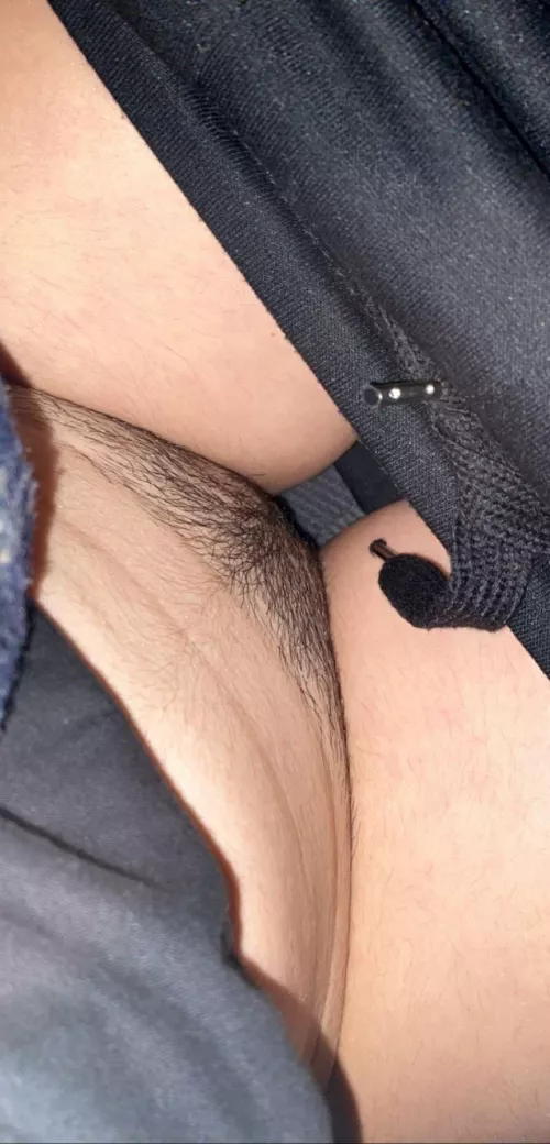 Pic in the car, hairy enough?🐱