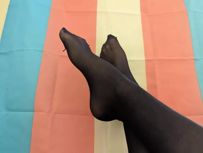 put my paws in tights, figured someone would appreciate it :3