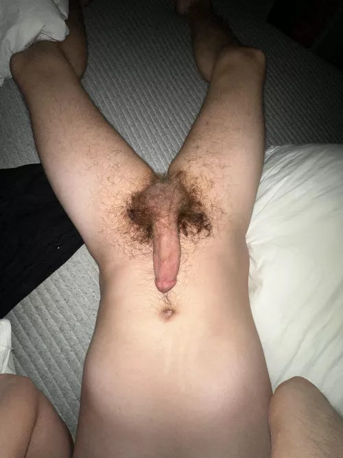 Tell me it’s a good bush