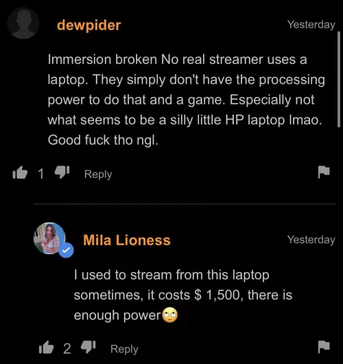 the person who made the video actually proved a pornhub commenter wrong in the least nsfw way possible